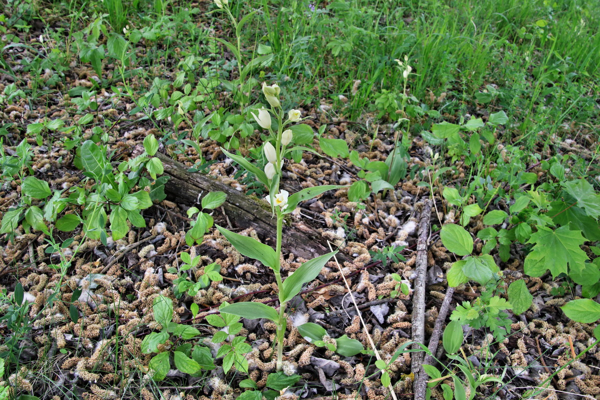 328_Bildgr��e �ndern