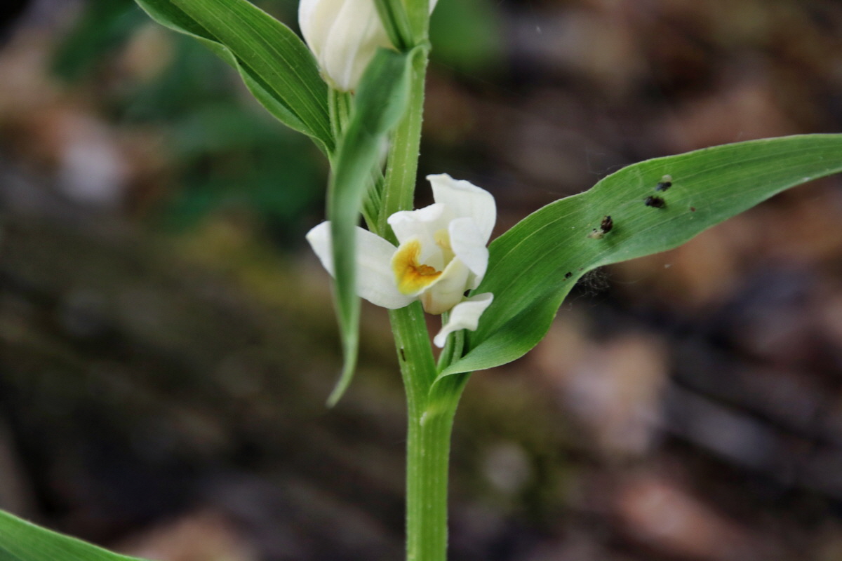 331_Bildgr��e �ndern