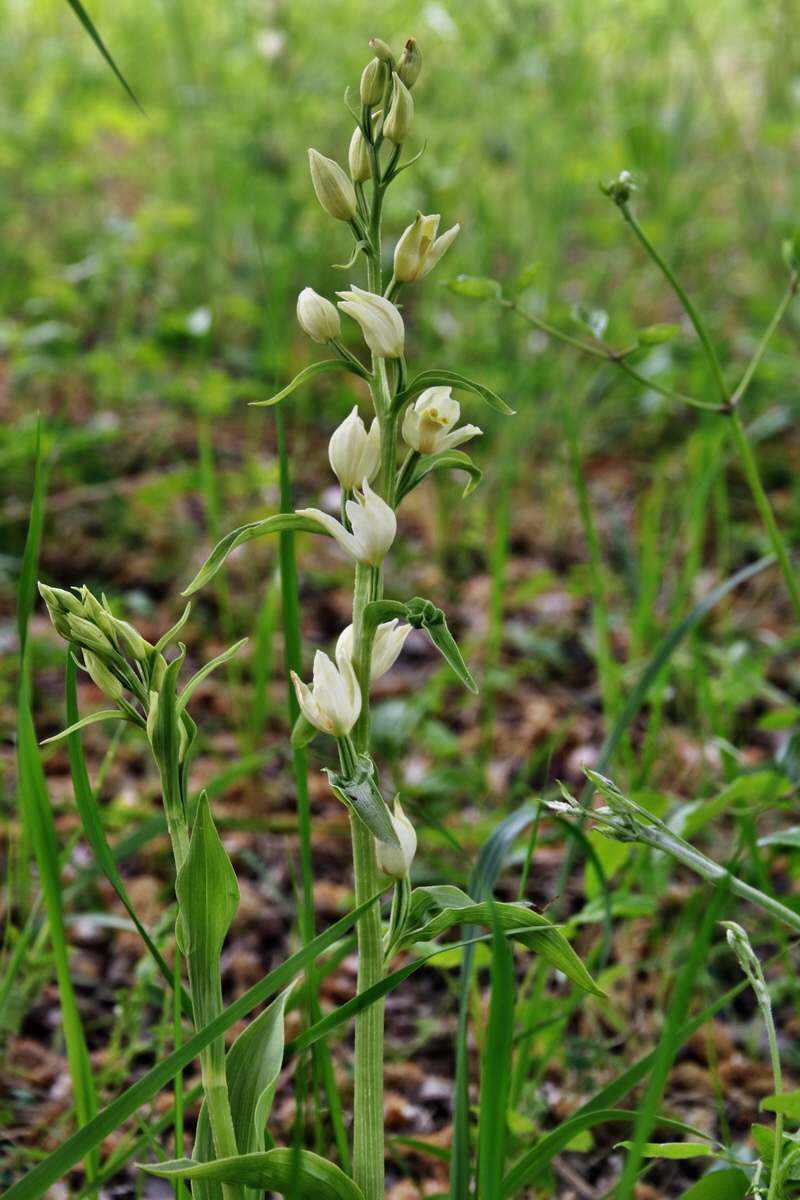 333_Bildgr��e �ndern