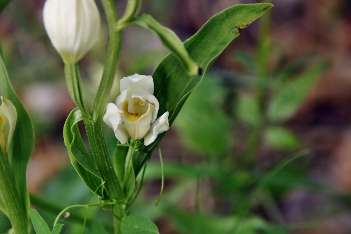 337_Bildgr��e �ndern