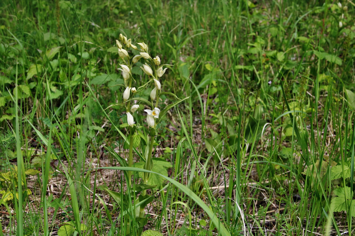 339_Bildgr��e �ndern