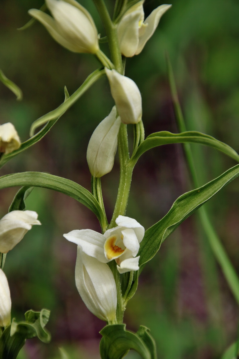 344_Bildgr��e �ndern