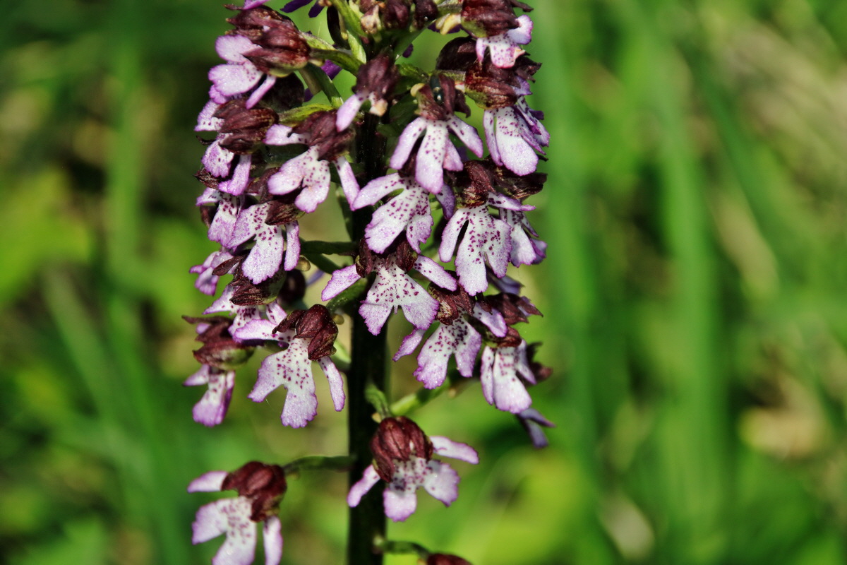 352_Bildgr��e �ndern