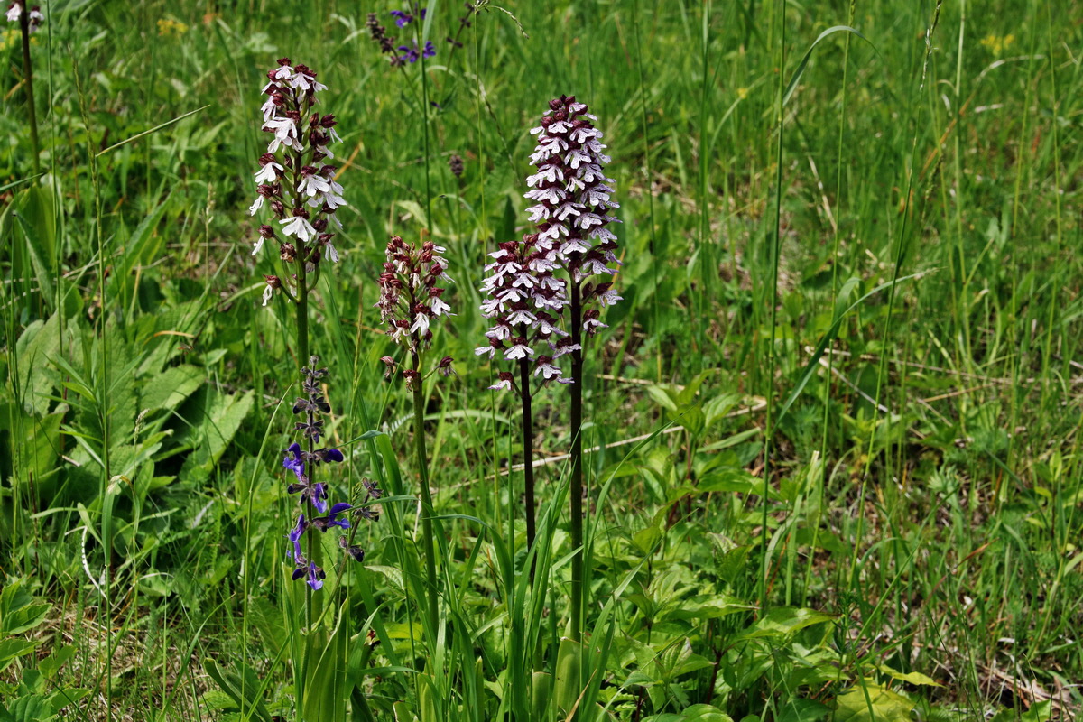 355_Bildgr��e �ndern