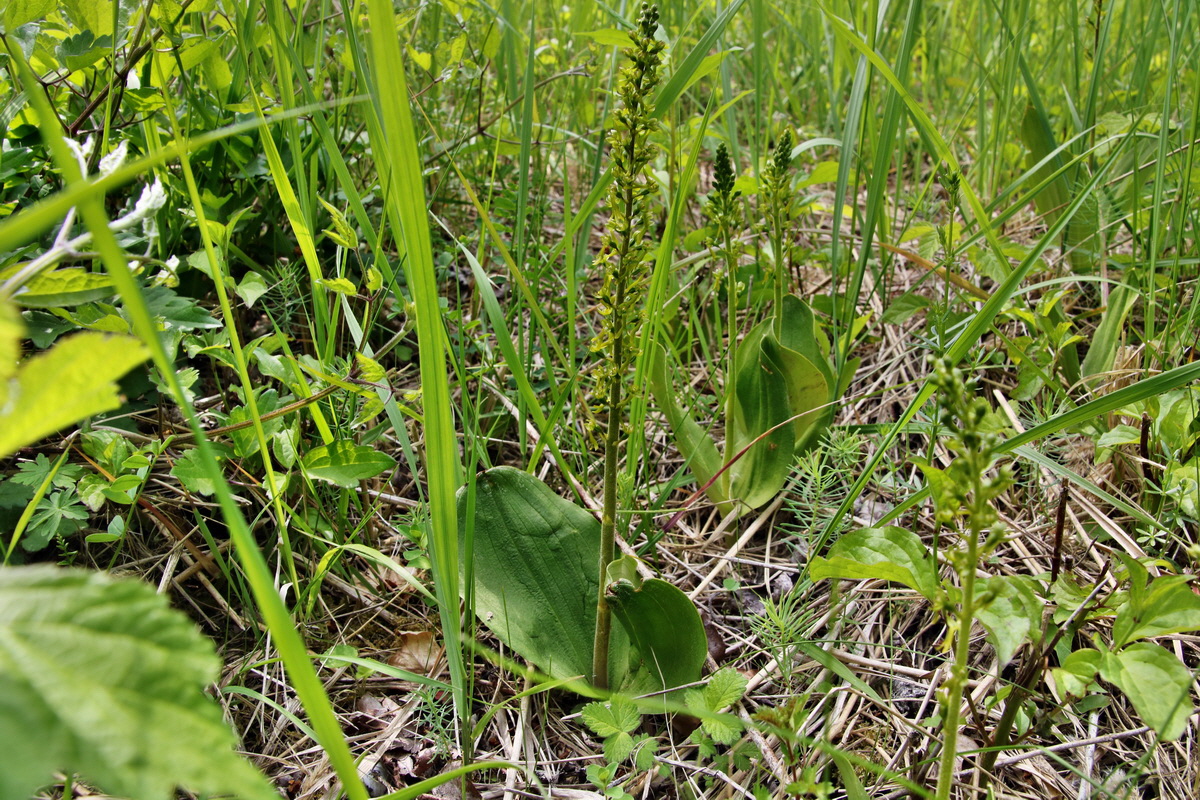 360_Bildgr��e �ndern