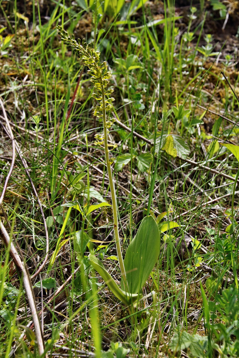 363_Bildgr��e �ndern