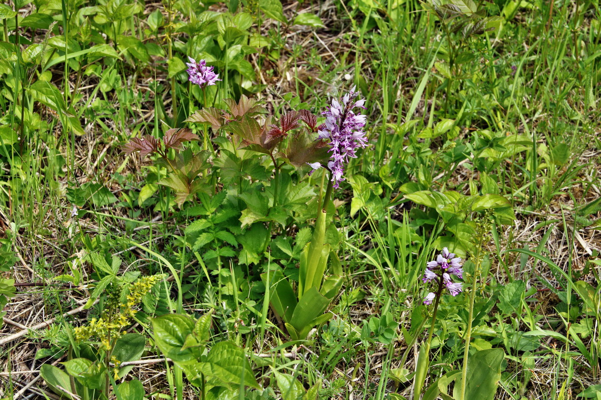 367_Bildgr��e �ndern