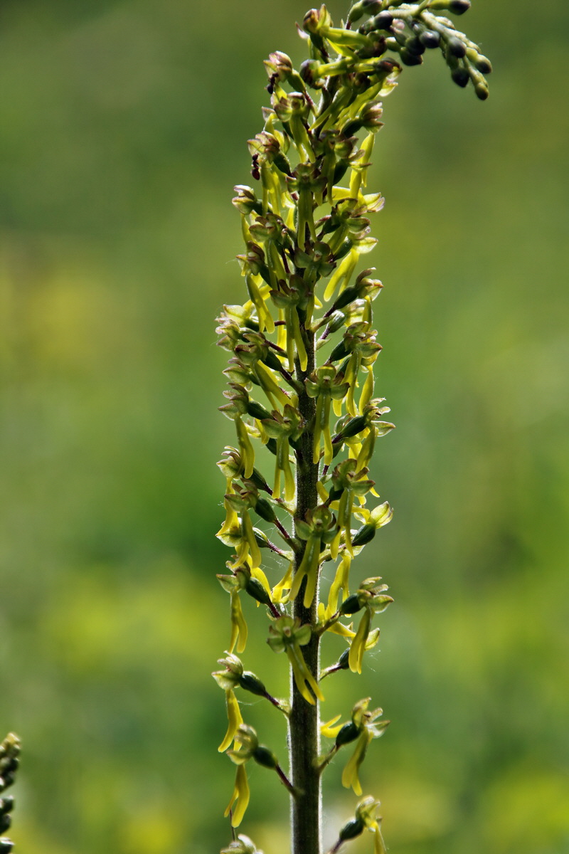 373_Bildgr��e �ndern