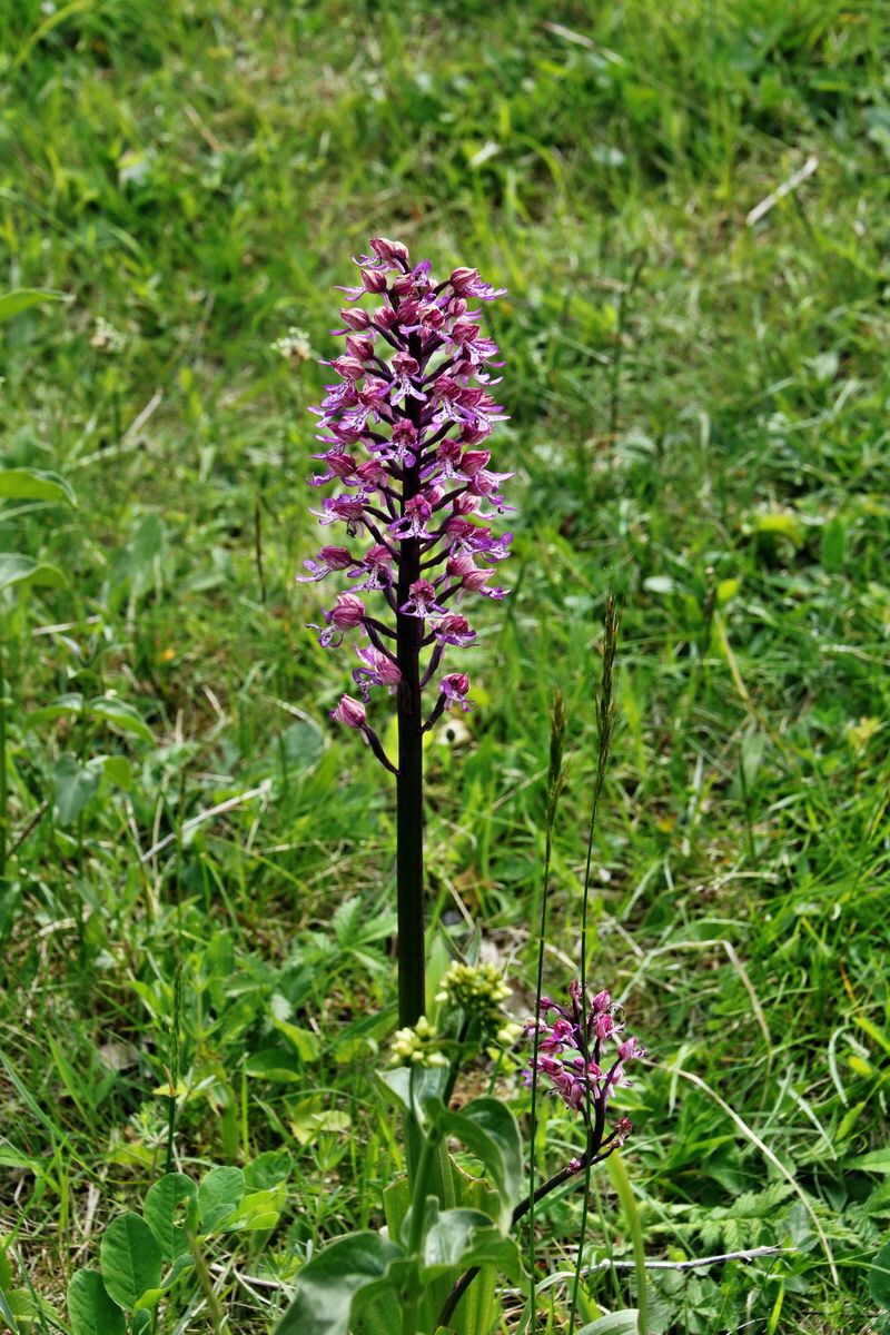 375_Bildgr��e �ndern