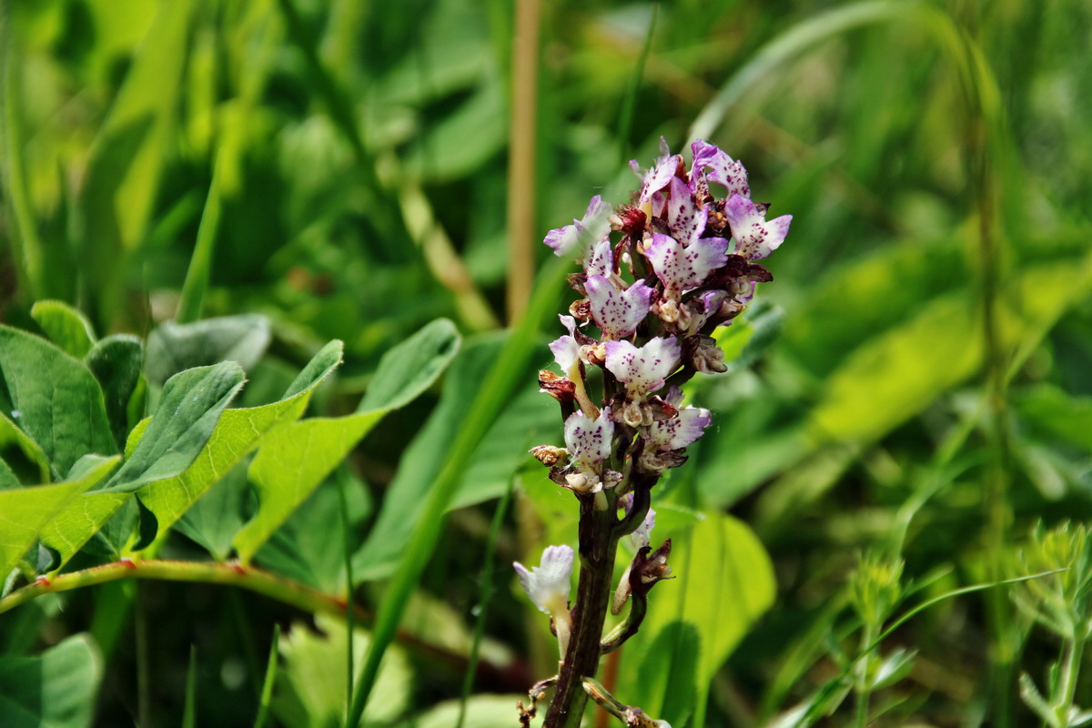 379_Bildgr��e �ndern