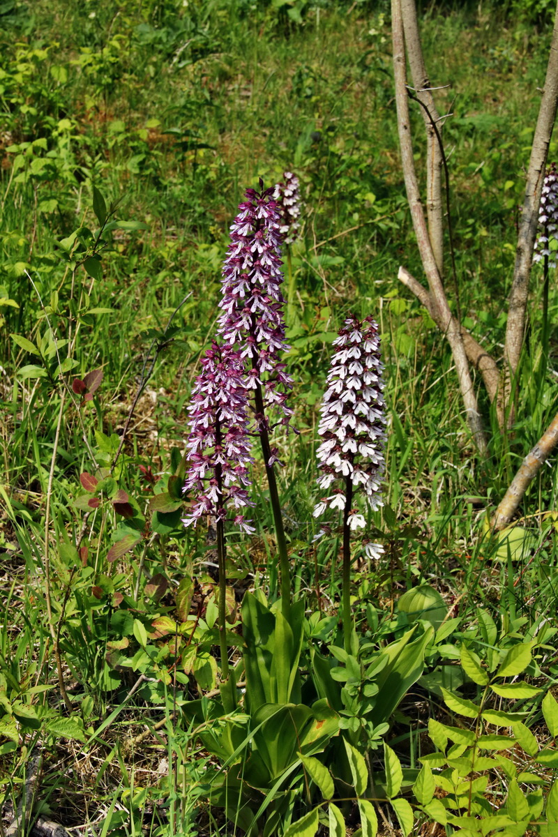 416_Bildgr��e �ndern