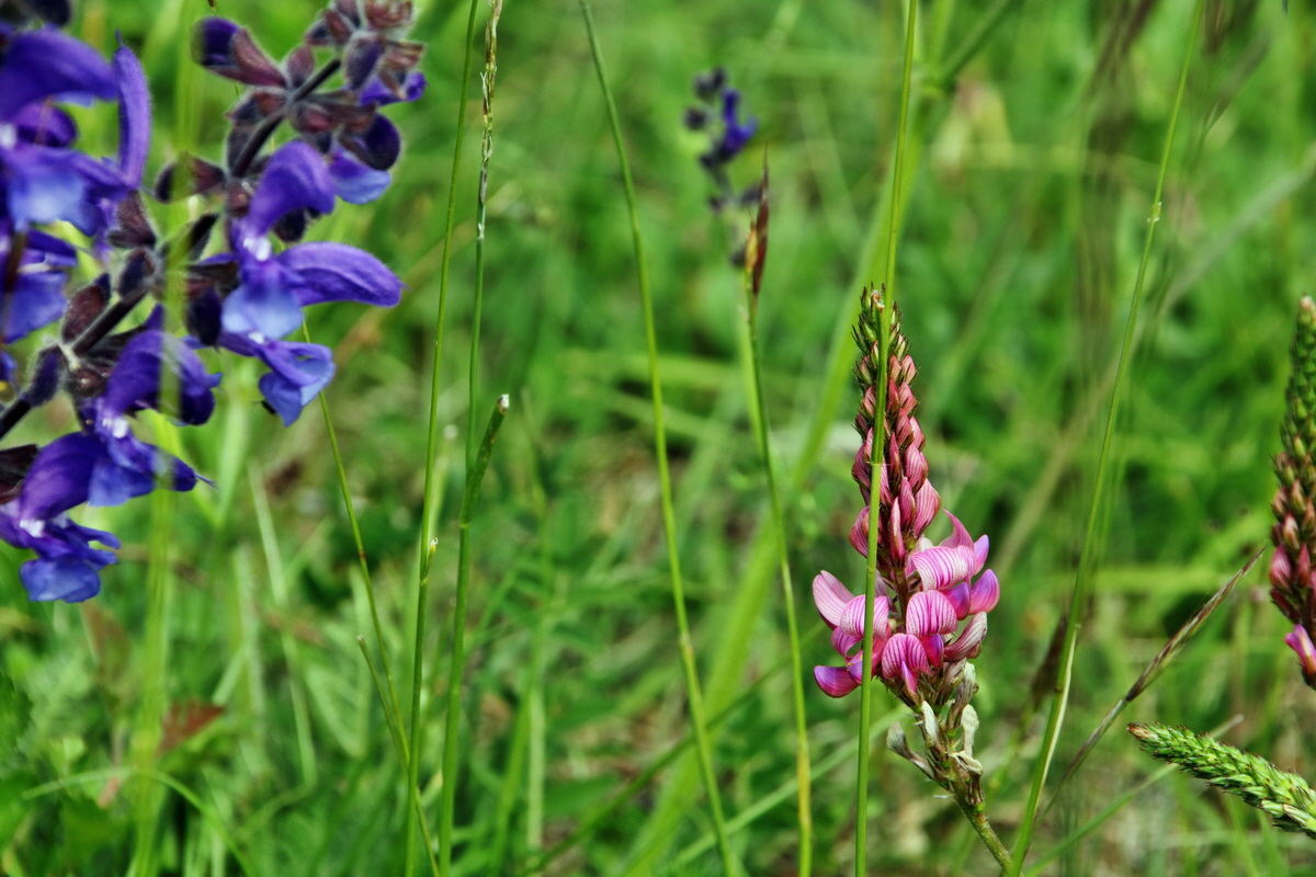 420_Bildgr��e �ndern