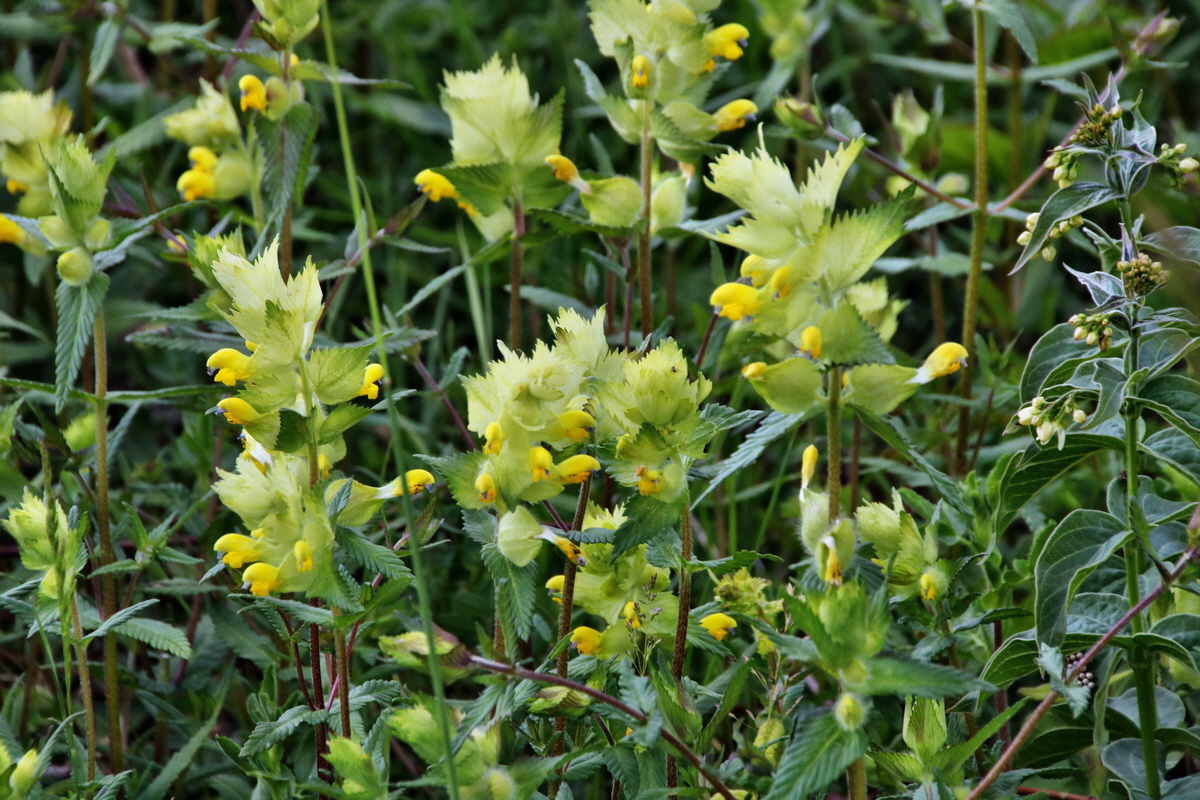 445_Bildgr��e �ndern