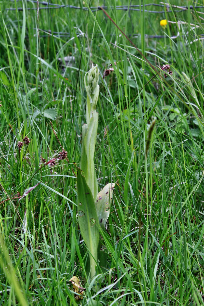 466_Bildgr��e �ndern