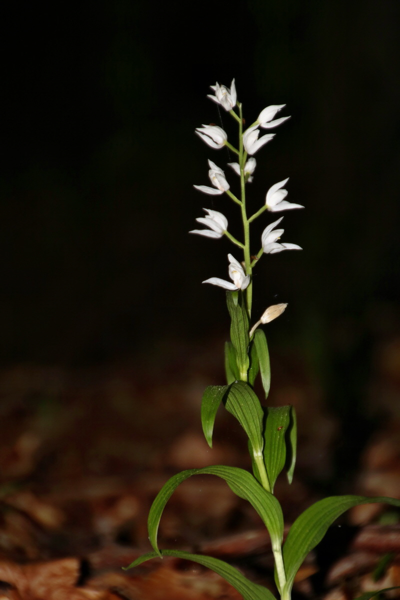 472_Bildgr��e �ndern