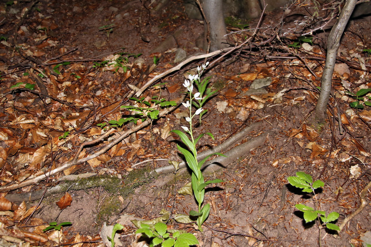 474_Bildgr��e �ndern