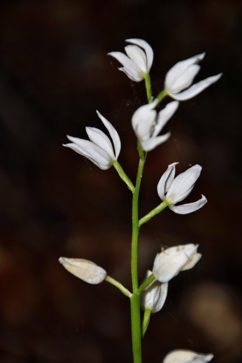 480_Bildgr��e �ndern