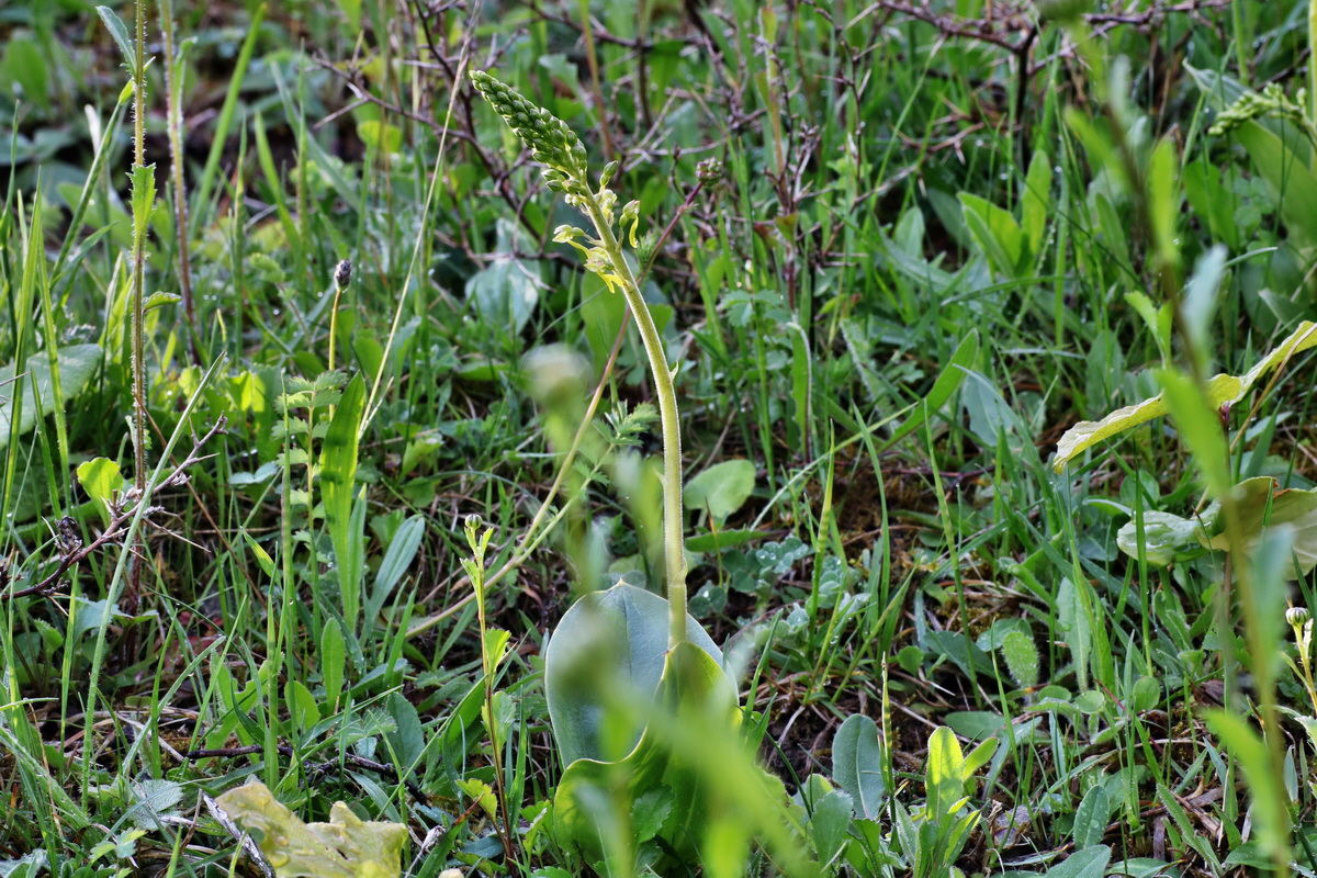 IMG-2015-05-29-00005000p_Bildgr��e �ndern