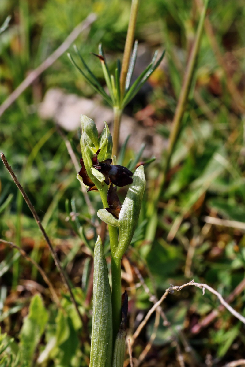 IMG-2015-05-29-00005012p_Bildgr��e �ndern