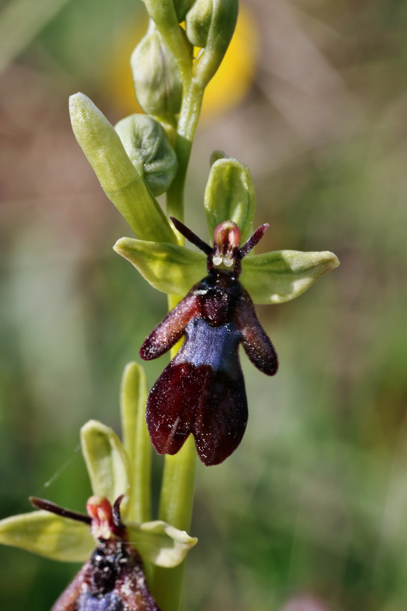 IMG-2015-05-29-00005019p_Bildgr��e �ndern