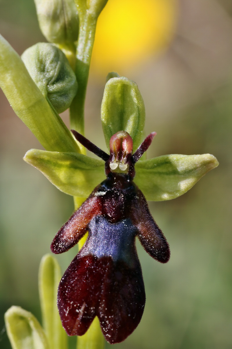 IMG-2015-05-29-00005024p_Bildgr��e �ndern