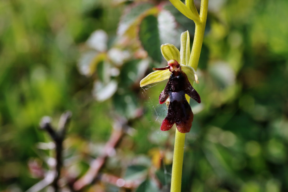 IMG-2015-05-29-00005028p_Bildgr��e �ndern