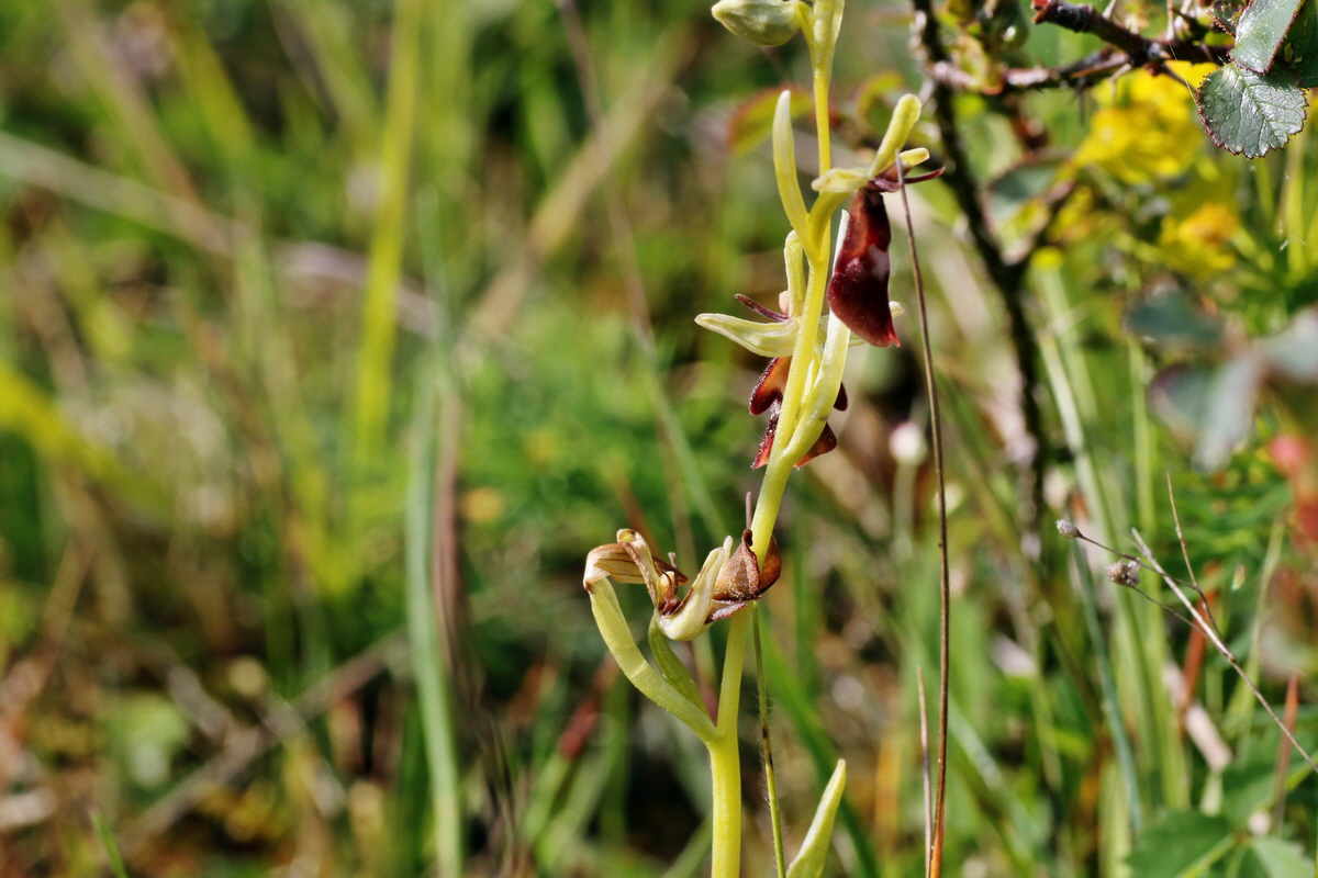 IMG-2015-05-29-00005030p_Bildgr��e �ndern