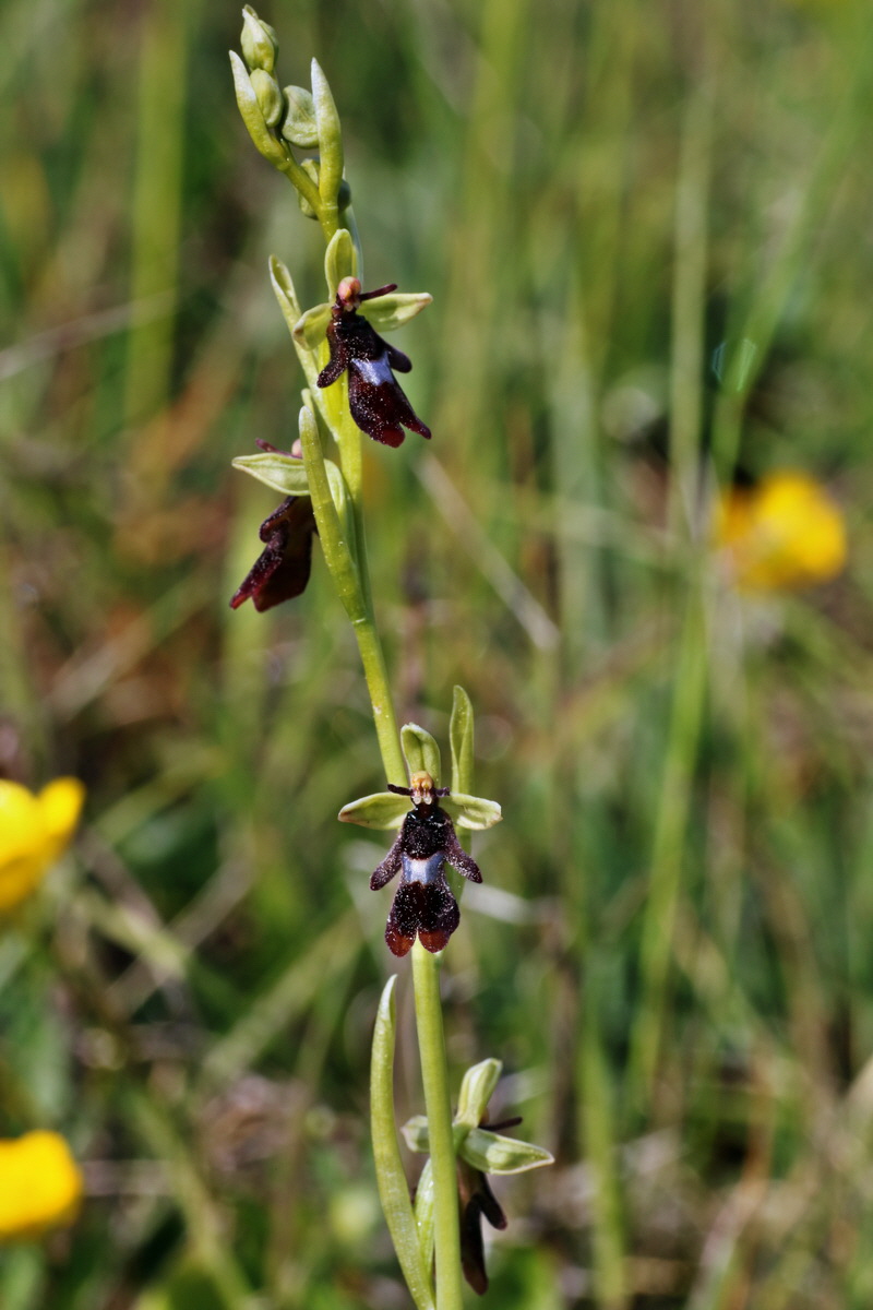 IMG-2015-05-29-00005033p_Bildgr��e �ndern