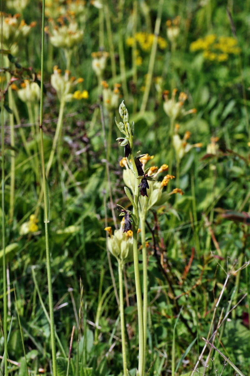 IMG-2015-05-29-00005038p_Bildgr��e �ndern