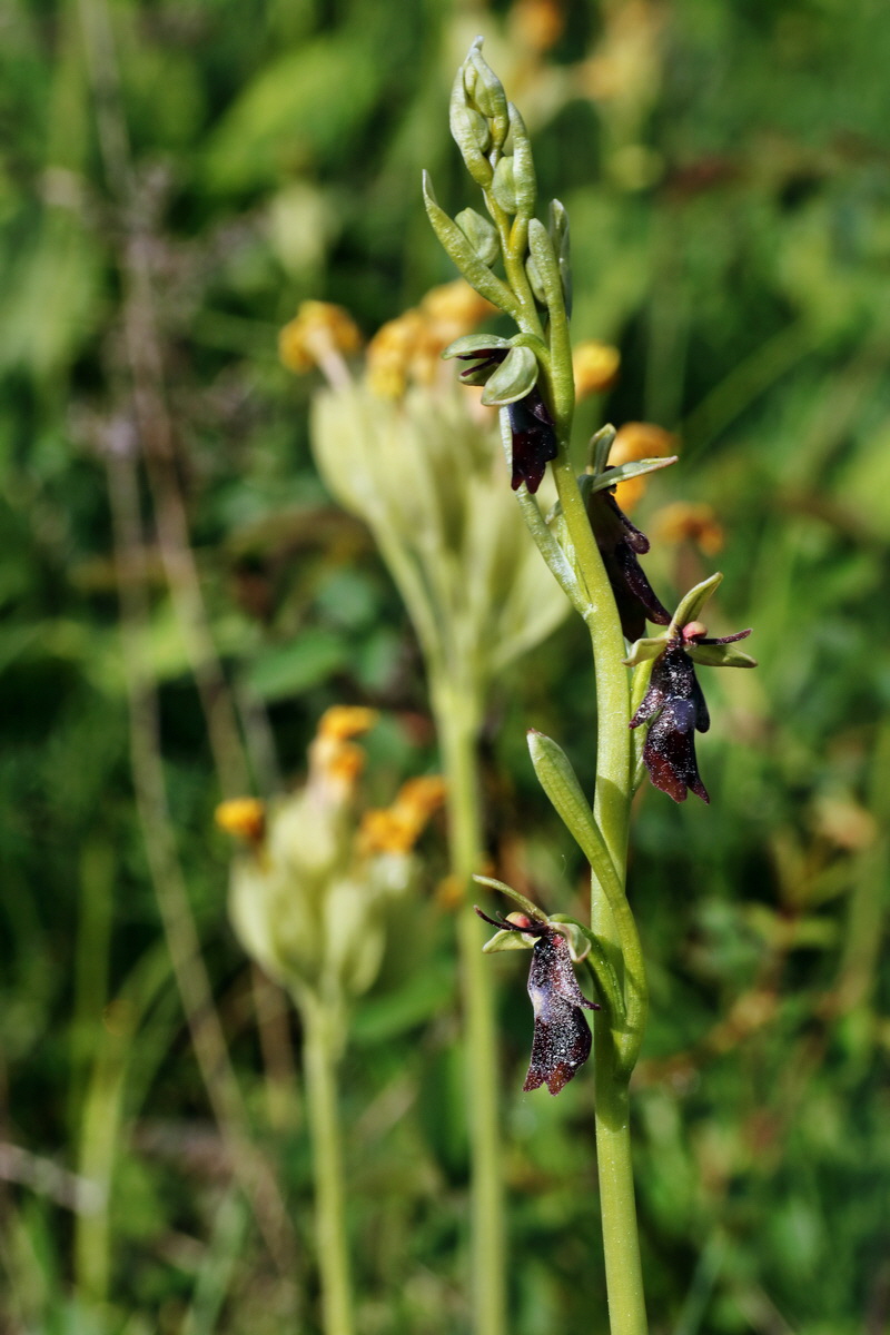 IMG-2015-05-29-00005042p_Bildgr��e �ndern