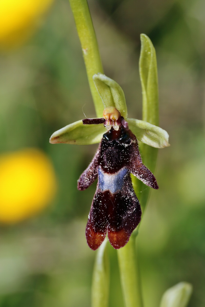 IMG-2015-05-29-00005043p_Bildgr��e �ndern