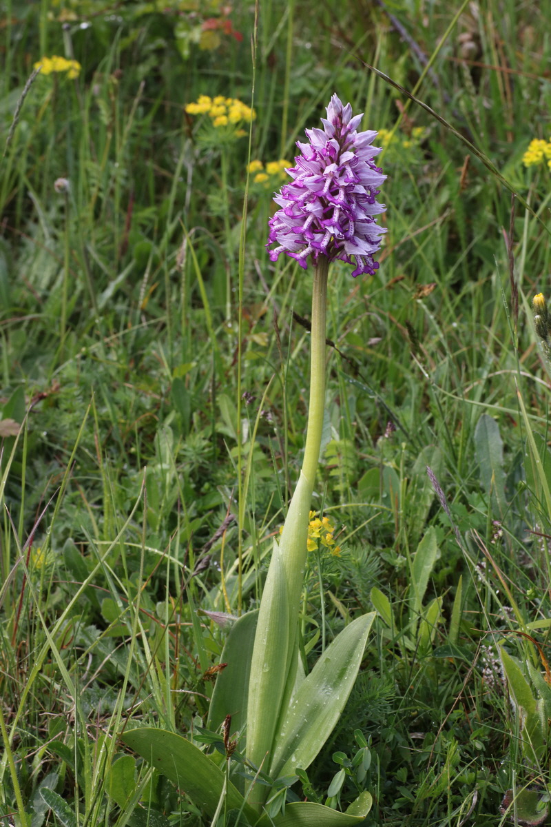 IMG-2015-05-29-00005047_Bildgr��e �ndern