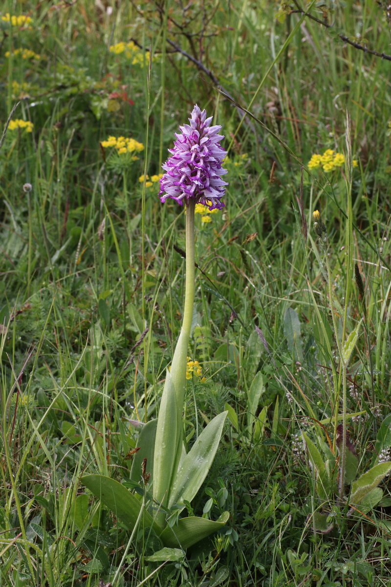 IMG-2015-05-29-00005050_Bildgr��e �ndern