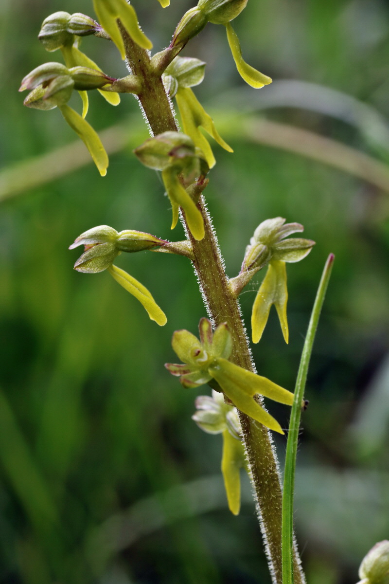 IMG-2015-05-29-00005051p_Bildgr��e �ndern