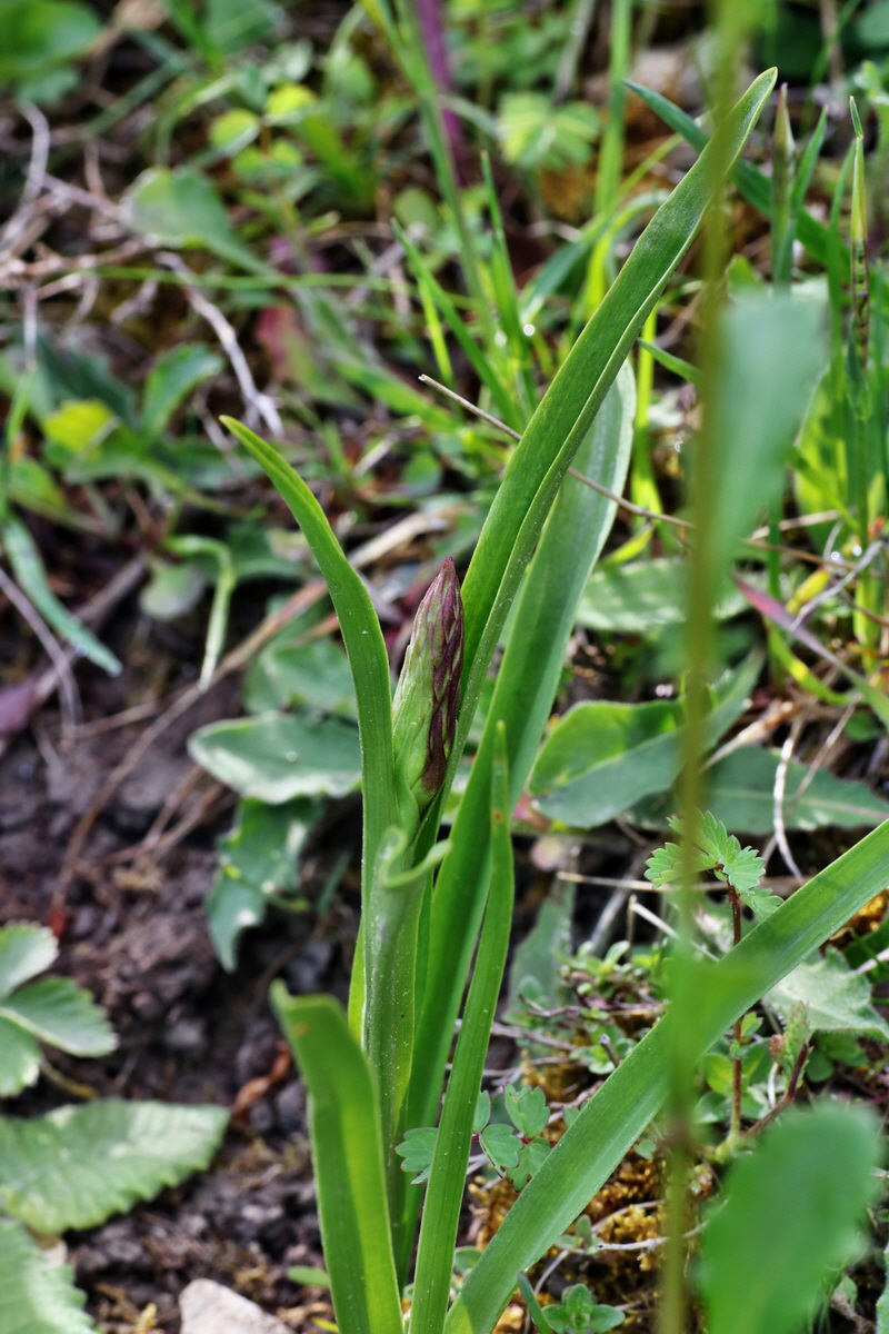 IMG-2015-05-29-00005054p_Bildgr��e �ndern