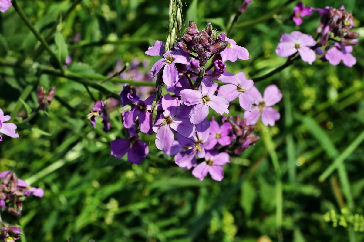 IMG-2015-05-29-00005100p_Bildgr��e �ndern