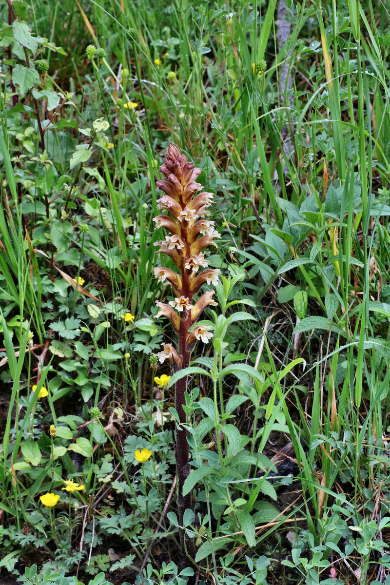 IMG-2015-05-29-00005106p_Bildgr��e �ndern