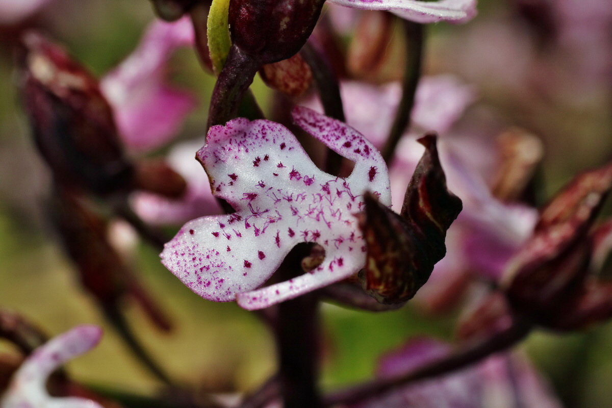 IMG-2015-05-29-00005122p_Bildgr��e �ndern