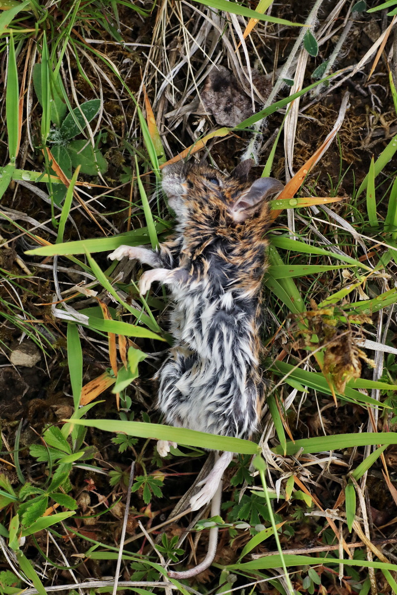 IMG-2015-05-29-00005125p_Bildgr��e �ndern