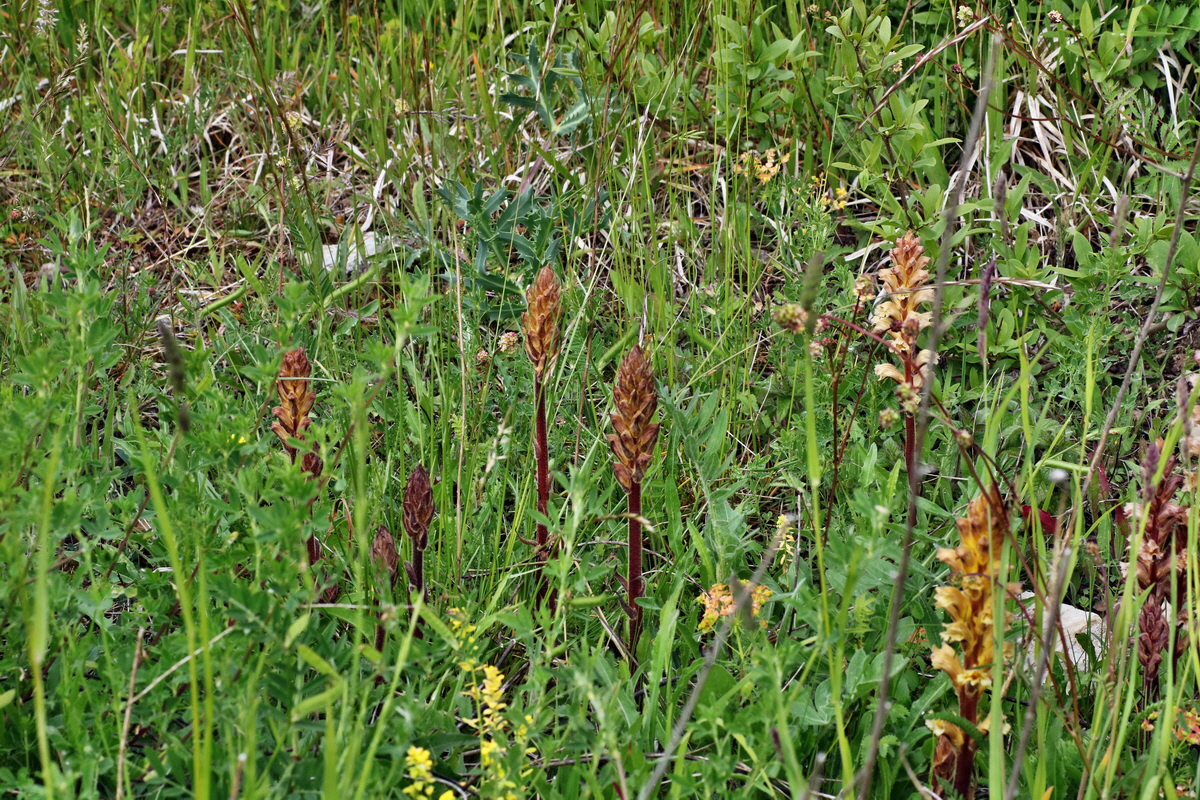 IMG-2015-05-29-00005127p_Bildgr��e �ndern