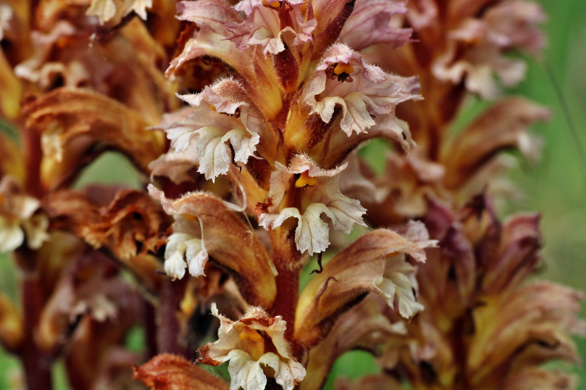 IMG-2015-05-29-00005133p_Bildgr��e �ndern