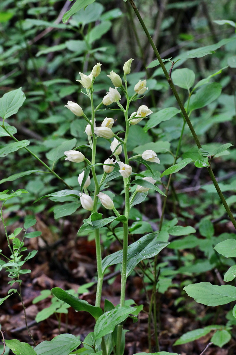 IMG-2015-05-29-00005140p_Bildgr��e �ndern