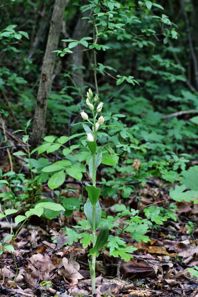 IMG-2015-05-29-00005149p_Bildgr��e �ndern