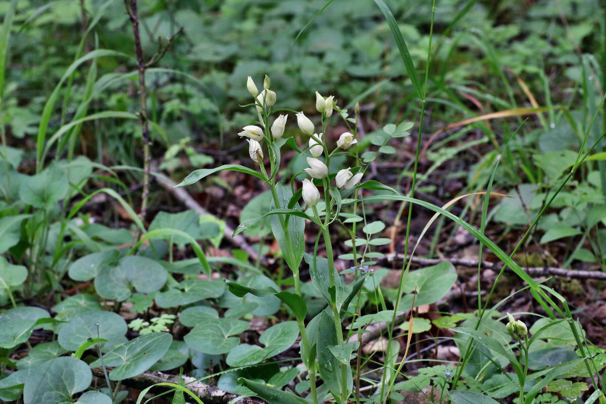 IMG-2015-05-29-00005155p_Bildgr��e �ndern