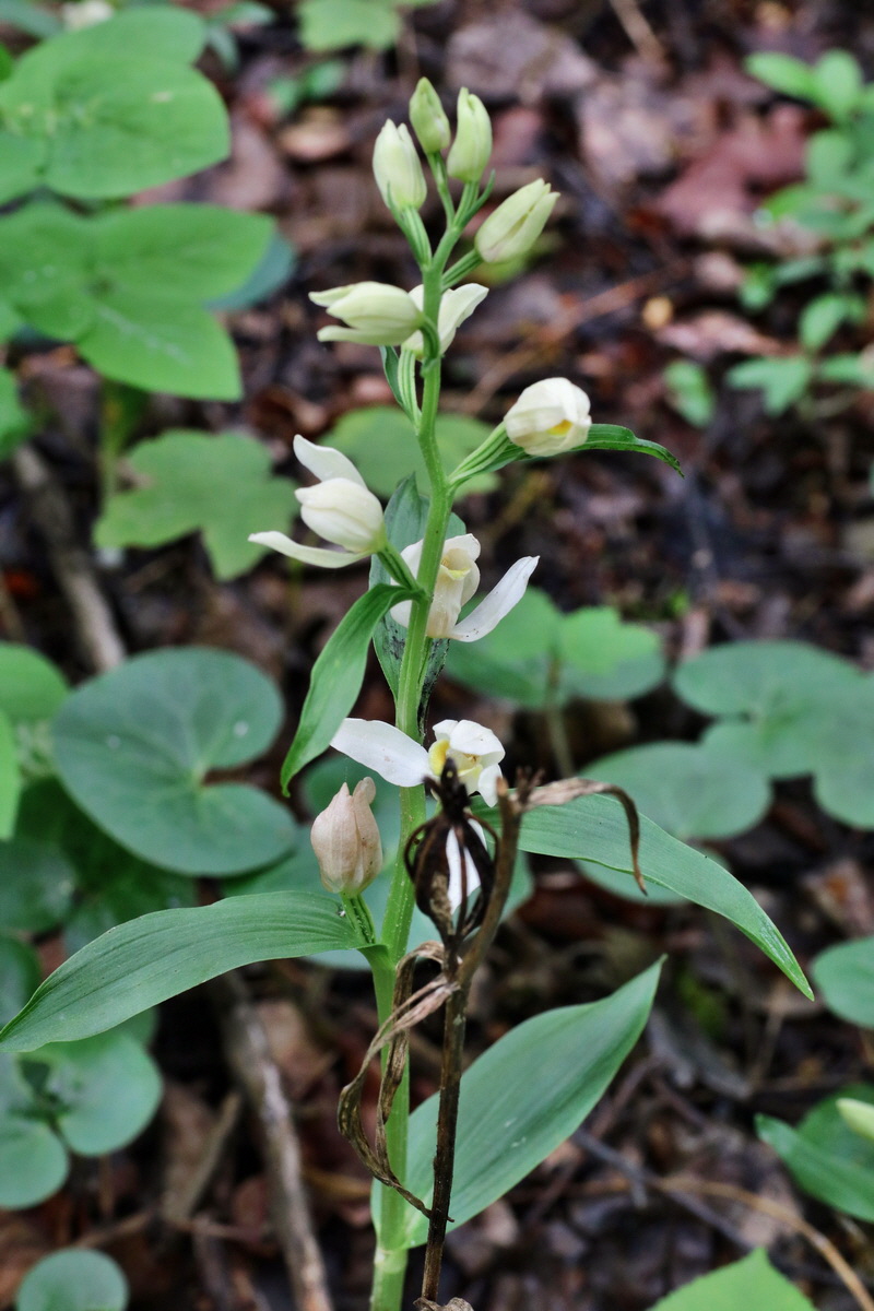 IMG-2015-05-29-00005162p_Bildgr��e �ndern