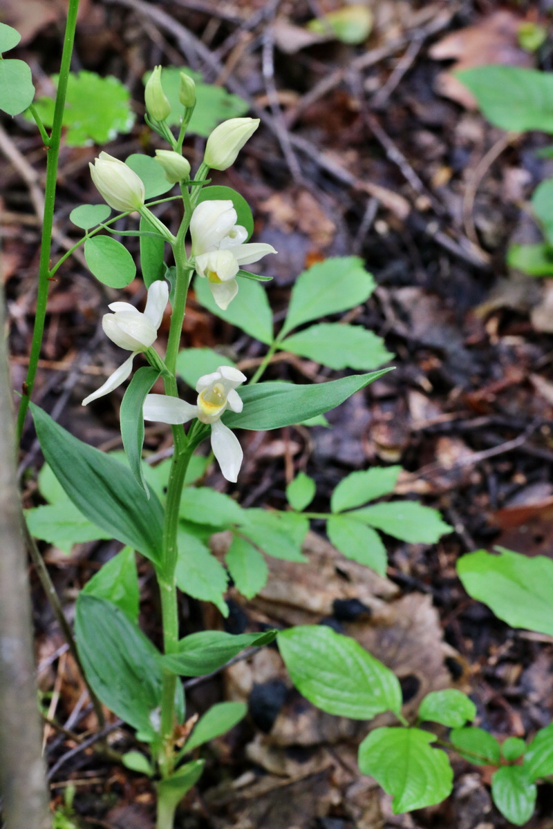 IMG-2015-05-29-00005173p_Bildgr��e �ndern