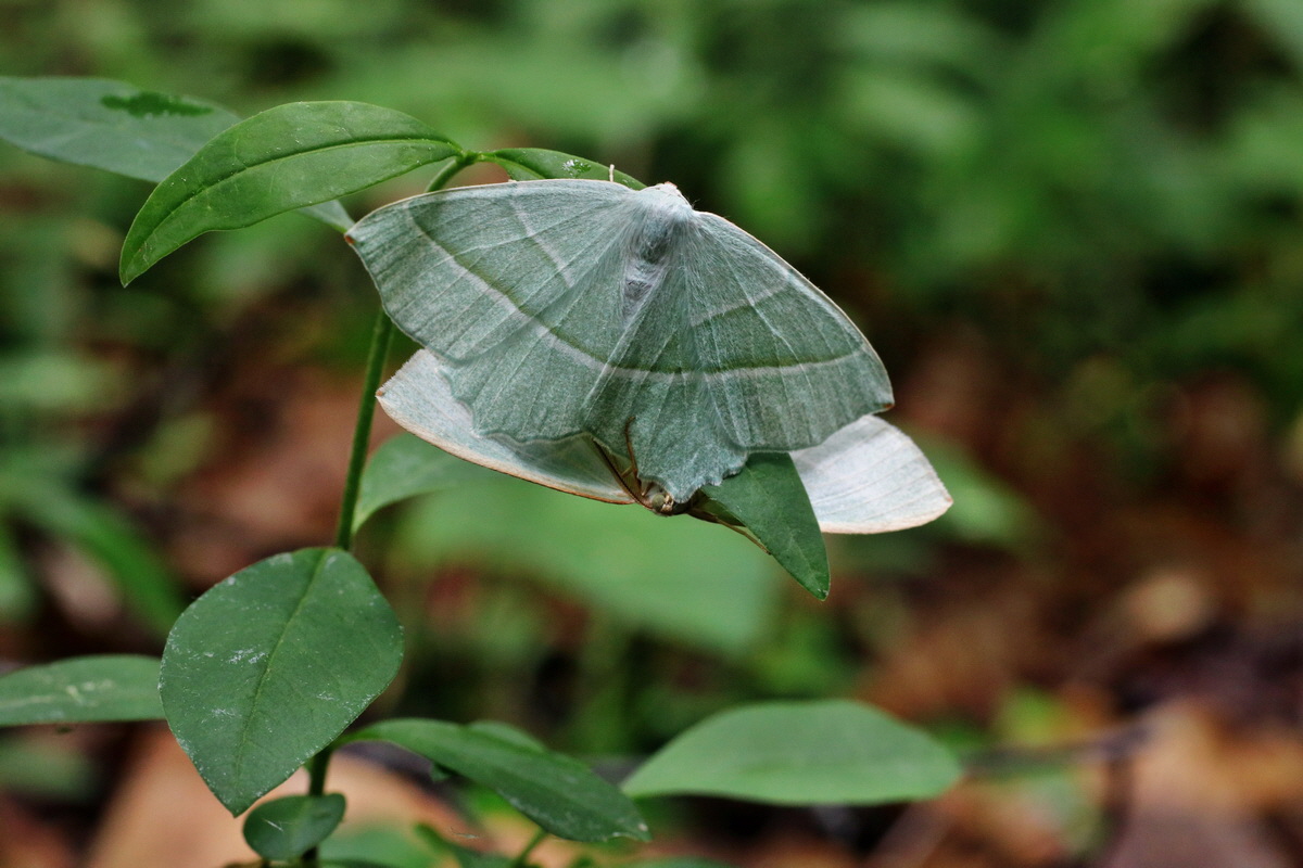 IMG-2015-05-29-00005175p_Bildgr��e �ndern