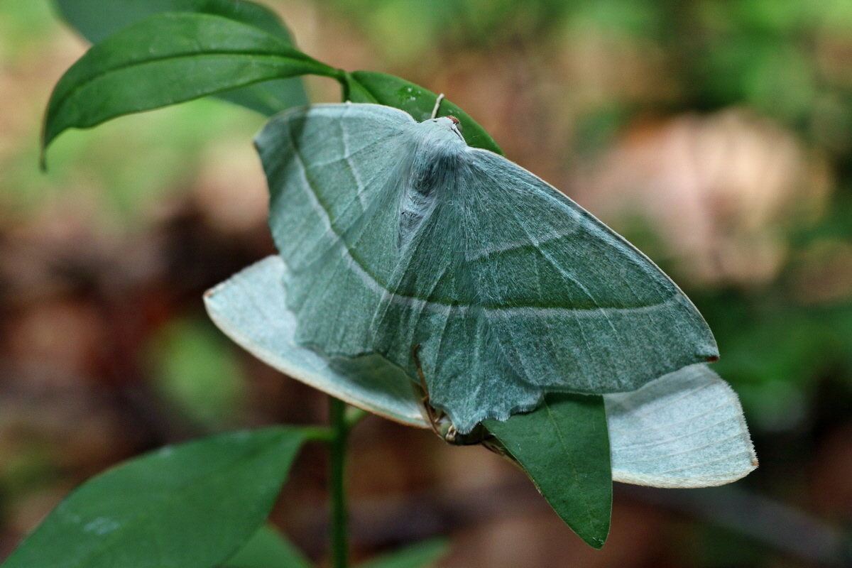 IMG-2015-05-29-00005181p_Bildgr��e �ndern