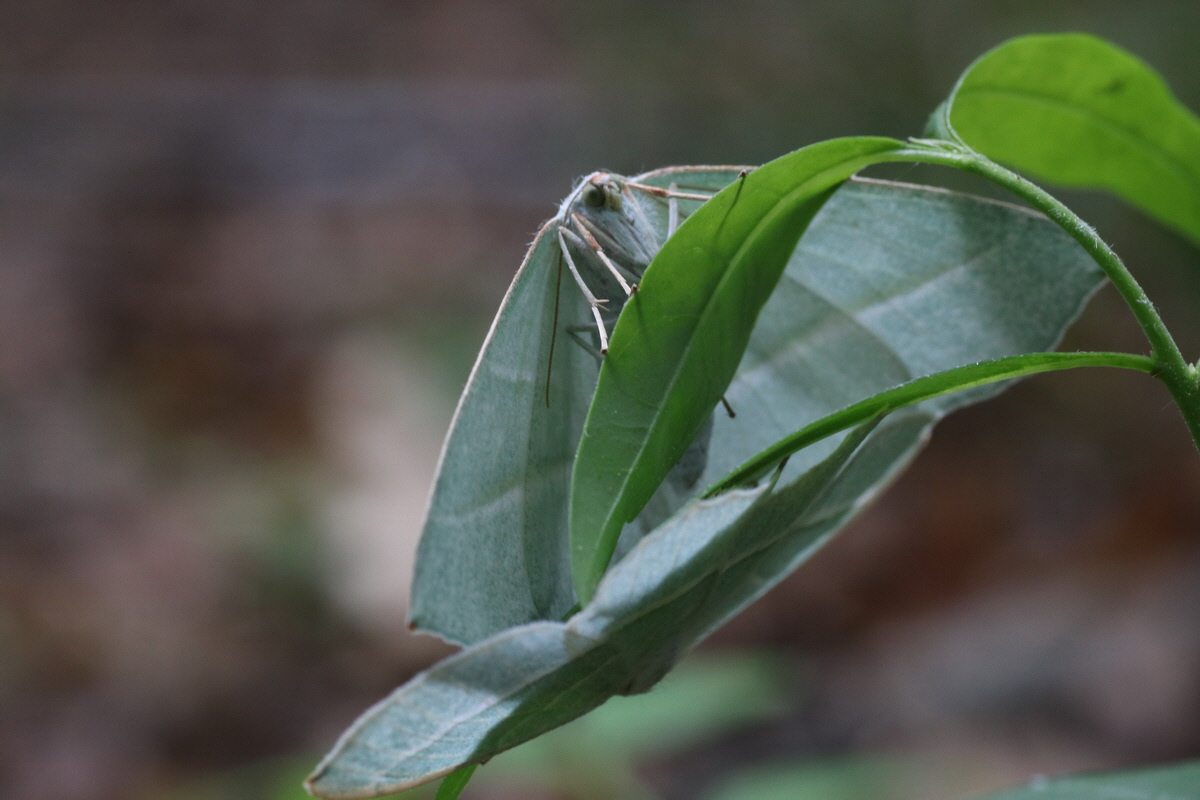 IMG-2015-05-29-00005184_Bildgr��e �ndern