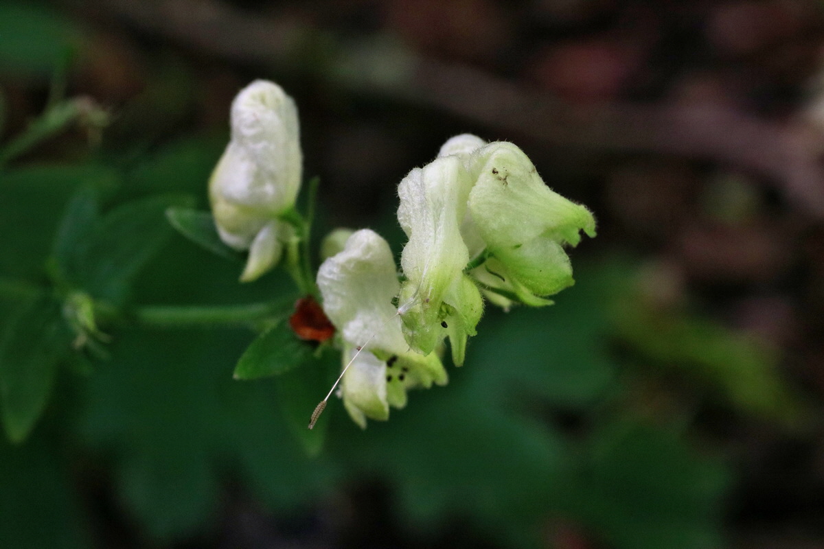 IMG-2015-05-29-00005199p_Bildgr��e �ndern